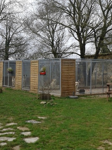 Les boxes du centre canin