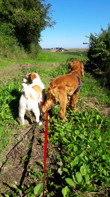 Séjour nature avec promenade