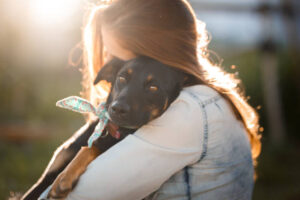 adoption chien