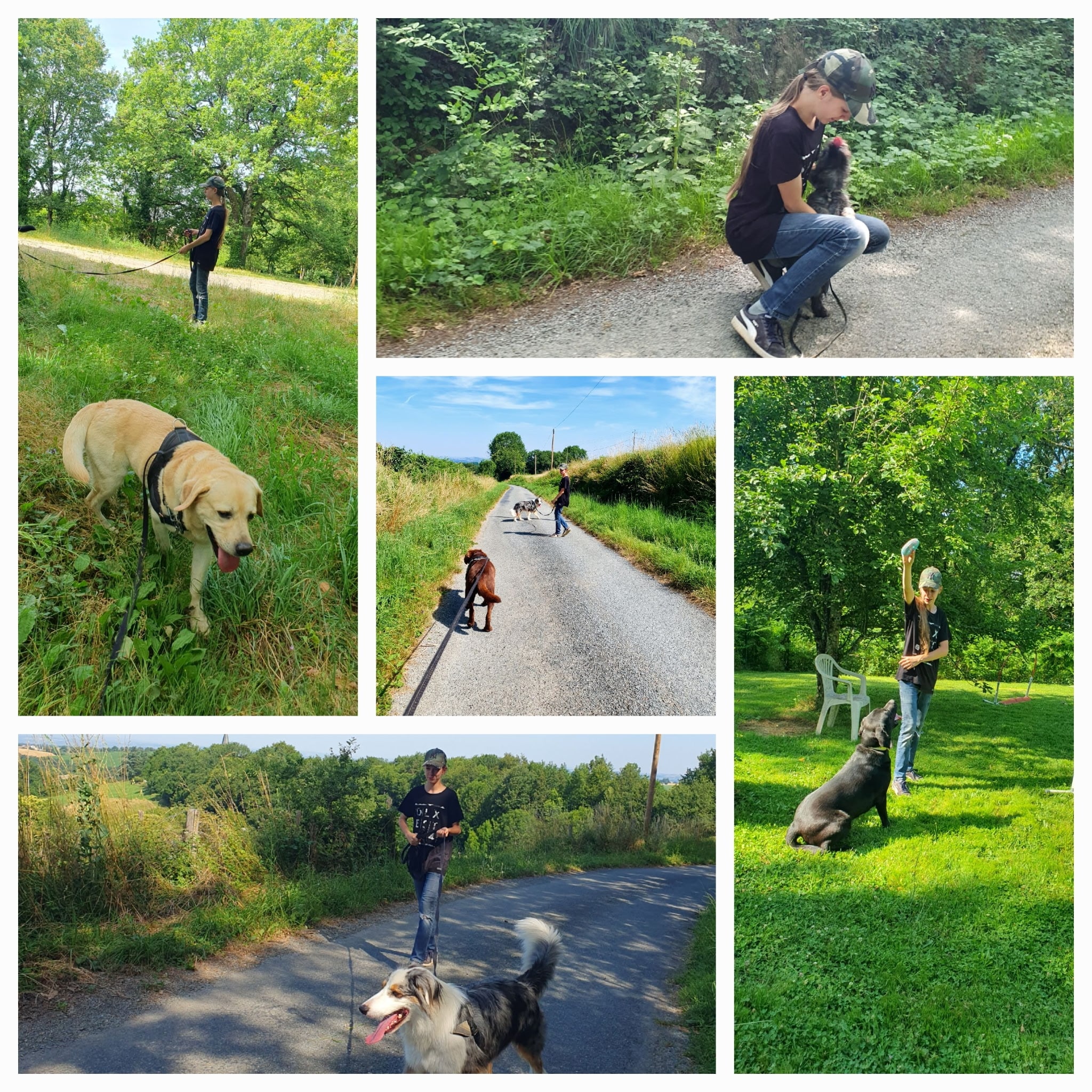 Collage d'une jeune fille promenant et éduquant différents chiens en extérieur, entre jeux et moments de tendresse.